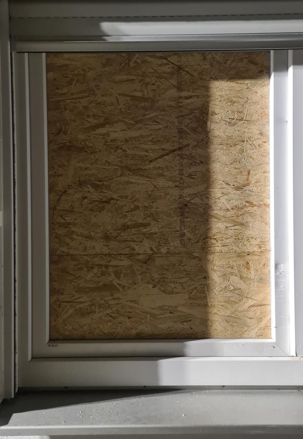 20251102_013420 zugeschnitten.jpg